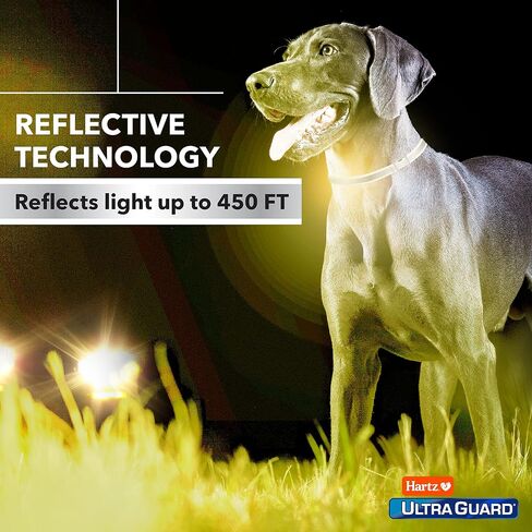 هارتز Ultraguard Promax Flea و Trick Corm for Dogs I 12 شهرًا حماية أنا ناعم ومريح للوقاية من القراد أنا 2 حزمة ، رمادي in Kuwait