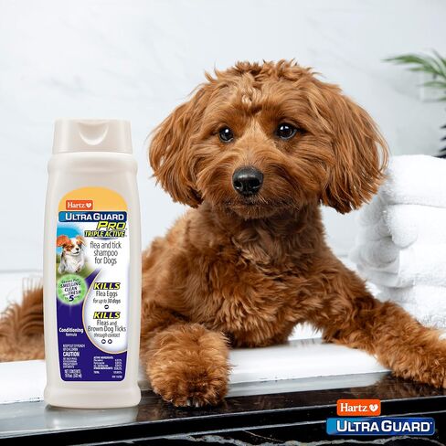 Hartz Ultraguard Pro Triple Action Action Flea & Tick Shampoo للكلاب ، صيغة التكييف ، زجاجة 18oz in Kuwait