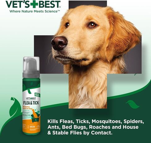 Vet's Best Flea & Tick Waterless Bath Foam for Dogs - Flea-Killing Dry Shampoo for Dogs - Plant-Based Ingredients - Certified Natural Oils - 8 oz in Saudi Arabia