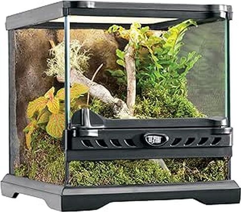 Exo Terra Glass Natural Terrarium Kit, for Reptiles and Amphibians, Nano Tall, 8 x 8 x 12 inches, PT2601A1 in Kuwait