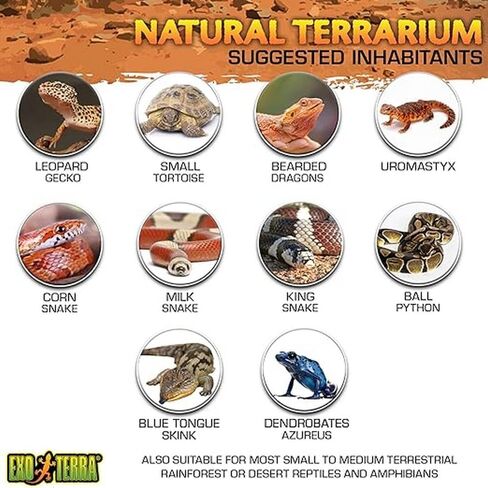 Exo Terra Glass Natural Terrarium Kit, for Reptiles and Amphibians, Nano Tall, 8 x 8 x 12 inches, PT2601A1 in Kuwait