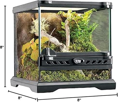 Exo Terra Glass Natural Terrarium Kit, for Reptiles and Amphibians, Nano Tall, 8 x 8 x 12 inches, PT2601A1 in Kuwait
