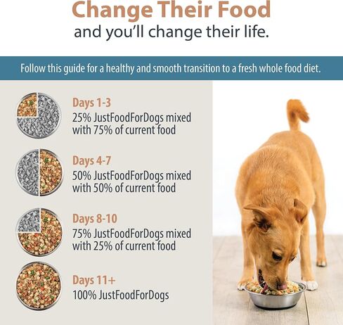 JustFoodForDogs Frozen Fresh Dog Food, Complete Meal or Dog Food Topper, Beef & Russet Potato/Turkey & Whole Wheat Macaroni Human Grade Dog Food Recipe, 5.5 oz (Pack of 36) in Saudi Arabia
