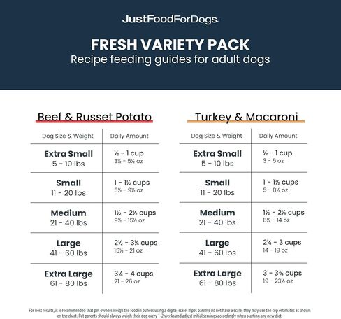 JustFoodForDogs Frozen Fresh Dog Food, Complete Meal or Dog Food Topper, Beef & Russet Potato/Turkey & Whole Wheat Macaroni Human Grade Dog Food Recipe, 5.5 oz (Pack of 36) in Saudi Arabia