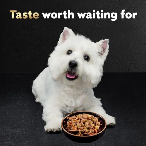 CESAR HOME DELIGHTS Wet Dog Food Pot Roast & Vegetable, Beef Stew, Turkey Potato & Green Bean, and Hearth Chicken & Noodle Variety Pack, (24) 3.5 oz. Easy Peel Trays in Saudi Arabia