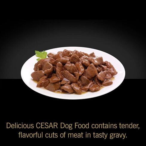 CESAR HOME DELIGHTS Wet Dog Food Pot Roast & Vegetable, Beef Stew, Turkey Potato & Green Bean, and Hearth Chicken & Noodle Variety Pack, (24) 3.5 oz. Easy Peel Trays in Kuwait
