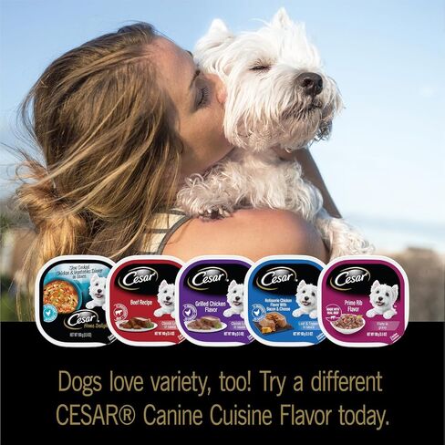 CESAR HOME DELIGHTS Wet Dog Food Pot Roast & Vegetable, Beef Stew, Turkey Potato & Green Bean, and Hearth Chicken & Noodle Variety Pack, (24) 3.5 oz. Easy Peel Trays in Kuwait