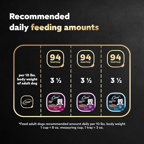 CESAR Adult Soft Wet Dog Food Filets in Gravy Variety Pack, Filet Mignon, New York Strip and Prime Rib Flavors, (24) 3.5 oz. Trays in Kuwait