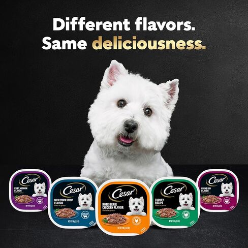 CESAR Adult Soft Wet Dog Food Filets in Gravy Variety Pack, Filet Mignon, New York Strip and Prime Rib Flavors, (24) 3.5 oz. Trays in Kuwait