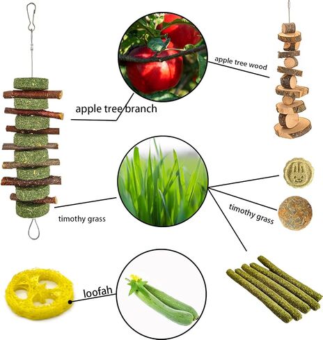 Grddaef 20 PCS Bunny Chew Toys for Teeth, Natural Rabbit Toys Apple Wood Grass Timothy Sticks Chew and Treat for Guinea Pigs Hamster Chinchillas in Saudi Arabia