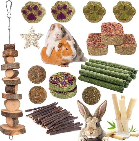 Grddaef 20 PCS Bunny Chew Toys for Teeth, Natural Rabbit Toys Apple Wood Grass Timothy Sticks Chew and Treat for Guinea Pigs Hamster Chinchillas in Saudi Arabia