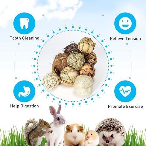 Small Animals Play Balls, Chew Grass Balls & Rolling Chew Toys for Bunny, Improve Pets Dental Health for Rabbit, Chinchilla, Guinea Pigs, Hamsters, Gerbils, Rats, Mice （9 Pieces） in Saudi Arabia