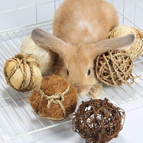 Small Animals Play Balls, Chew Grass Balls & Rolling Chew Toys for Bunny, Improve Pets Dental Health for Rabbit, Chinchilla, Guinea Pigs, Hamsters, Gerbils, Rats, Mice （9 Pieces） in Saudi Arabia