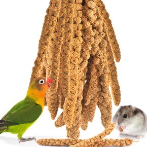 KATUMO Spray Millet Treats, 7Oz / 200g Natural Sun-Dried Bird Treats Parakeet Treats for Conure Cockatiel Finch Pigeon Hamster Canary Treats
