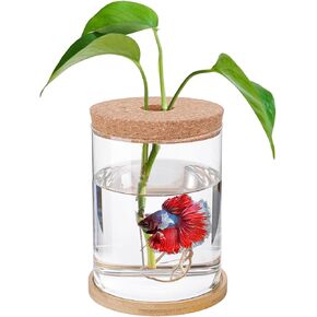 Desktop Fish Bowl Glass- Small Betta Fish Tank with Lid, Clear Hydroponic Plant Propagation Station for Home Office, Plant Lovers Gifts for Women Mom (Straight-Shaped, 4.7" x 6.7")