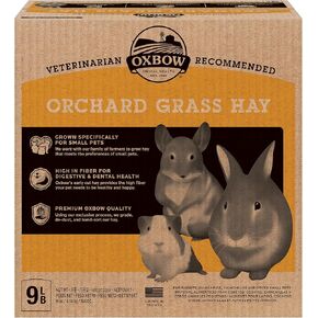 Oxbow Health Health Orchard Hay - جميع القش العشب الطبيعي للشينشيلات والأرانب وخنازير غينيا والهامستر والجربيل والحيوانات الأليفة الصغيرة الأخرى - الألياف الغنية في الولايات المتحدة الأمريكية - 9 رطل.