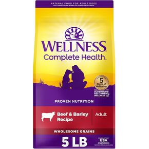 Wellness Complete Health Chicken & Oatmeal Natural Dry Dog Food, 30-Pound Bag (Packaging may vary)
