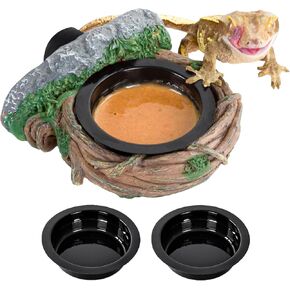 REPTI ZOO Magnetic Reptile Feeding Ledge, Gecko Feeder Ledge with 4PCS Cups, Hollow Vine Food Dish, Reptile Water Bowl for Bearded Dragon Lizard Snake, Reptile Terrarium Tank Accessories