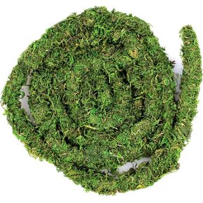 Supermoss Galápagos (05266) Mossvine ، Vine Moss Real ، 12 قدمًا ، أخضر