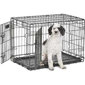 Medium Dog Crate | MidWest Life Stages 30" Double Door Folding Metal Dog Breed Crate | Divider Panel, Floor Protecting Feet & Dog Pan | 30.6L x 19.3W x 21.4H Inches