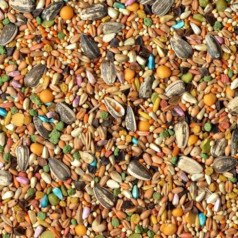 Wild Harvest Universal Blend Small Bird Food, 3 lbs in Saudi Arabia