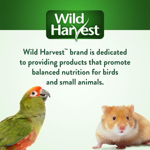 Wild Harvest Universal Blend Small Bird Food, 3 lbs in Saudi Arabia