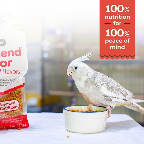 ZuPreem FruitBlend Bird Pellets, Daily Bird Food for Cockatiel, Lovebird, Quaker, Small Conure, Lorikeet, Core Nutrition for Medium Birds, Cockatiel Pellets, Conure Food (M, 2 lb) in Kuwait