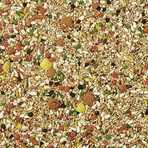 Kaytee Forti-Diet Pro Health Cockatiel Pet Bird Food with Safflower, 4 Pound (Pack of 2) in Saudi Arabia
