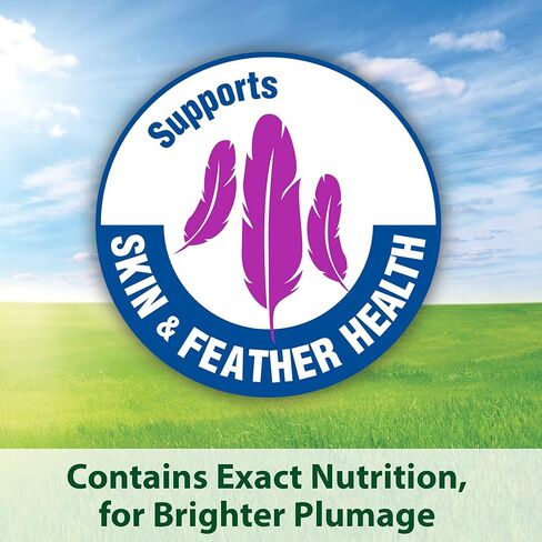 Kaytee Forti-Diet Pro Health Cockatiel Pet Bird Food with Safflower, 4 Pound (Pack of 2) in Saudi Arabia