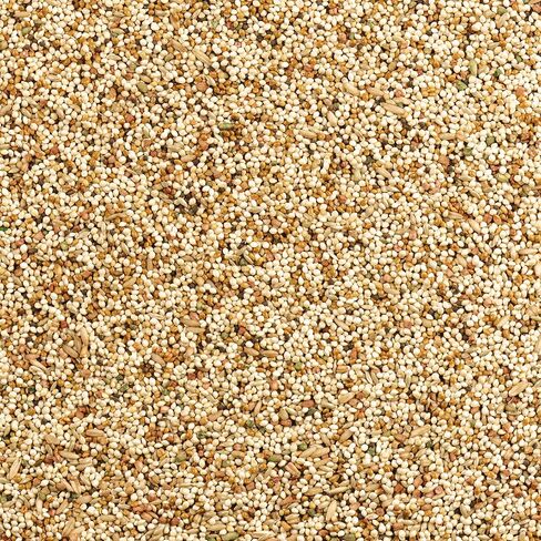 Wild Harvest Daily Blend Nutrition Diet for Parakeet, Canary and Finch, Orange flavored, 10 Pounds in Kuwait