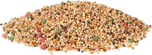 Wild Harvest Daily Blend Nutrition Diet for Parakeet, Canary and Finch, Orange flavored, 10 Pounds in Kuwait