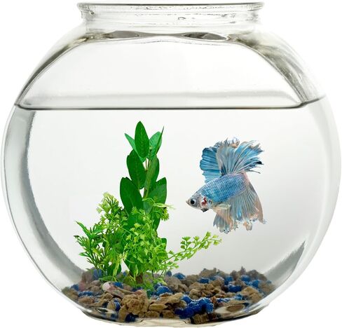 Koller Products 1-Gallon Fish Bowl, Shatterproof Plastic with Crystal Clear Clarity in Saudi Arabia