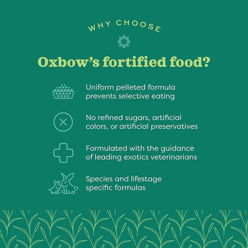Oxbow Essentials Adult Rabbit Food - All Natural Adult Rabbit Pellets - Veterinarian Recommended- No Artificial Ingredients- All Natural Vitamins & Minerals- Made in the USA- 5 lb. in Kuwait