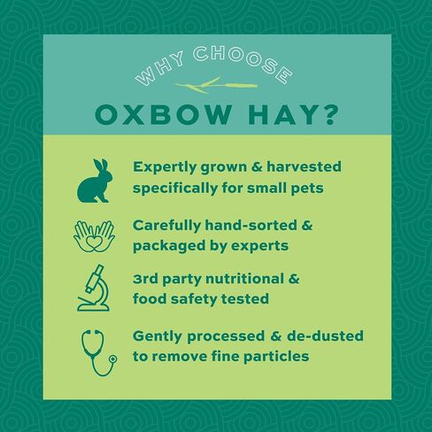 Oxbow Animal Health Western Timothy Hay, All Natural Hay for Rabbits, Guinea Pigs, Chinchillas, Hamsters & Gerbils, 90 oz in Saudi Arabia