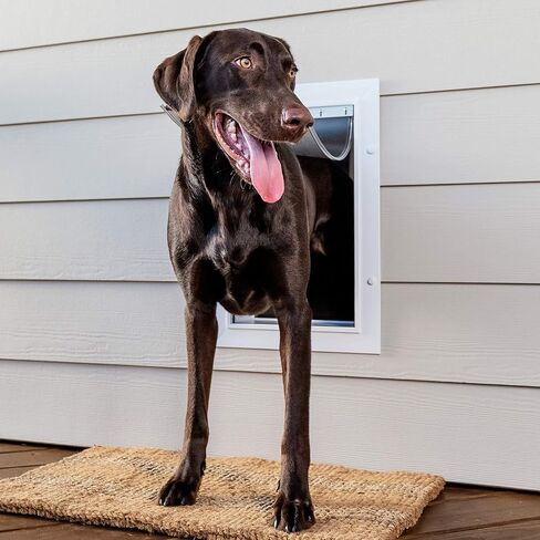 PetSafe Never Rust Wall Entry Pet Door - Telescoping Frame - Insulates Better Than Metal, Energy Efficient - Interior & Exterior Walls, Weatherproof, Easy to Install & Clean (White - Large) in Saudi Arabia