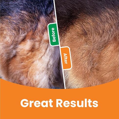 Gopets deseshedding & dematting مشط للكلاب ، وفرشاة القطط ، وفرشاة تحطيم للسرقة ، والتشابك ، والسكان ، وشفرات الفولاذ المقاوم للصدأ ، ومقبض مريح ، مثالي لجميع أنواع السلالات وأنواع المعطف in Kuwait