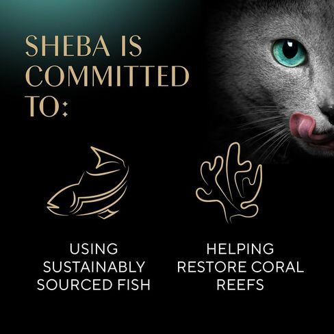 Sheba Perfect Portions Wet Cat Food Pate With Sustainable Salmon, Signature Seafood Entree, and Tender White Fish and Tuna Entree Variety Pack, 2.6 oz. Twin Pack Trays (24 Count, 48 Servings) in Saudi Arabia