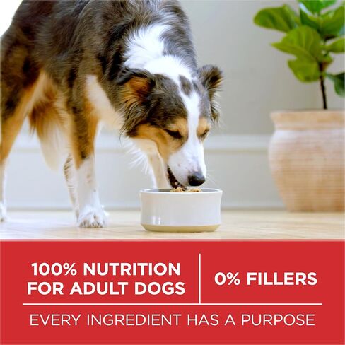 Purina ONE Chicken and Rice Formula Dry Dog Food - 16.5 lb. Bag in Saudi Arabia