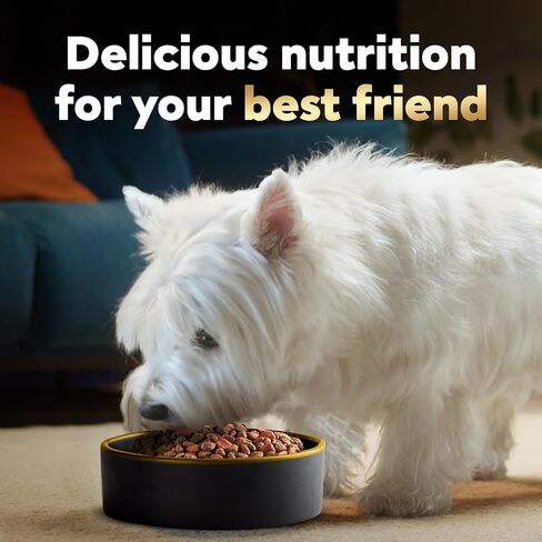 Cesar Small Breed Dry Dog Food, Filet Mignon & Spring Vegetables, 12 lb in Kuwait