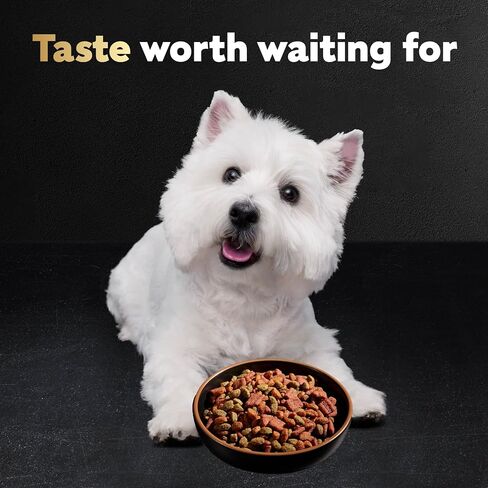 Cesar Small Breed Dry Dog Food, Filet Mignon & Spring Vegetables, 12 lb in Kuwait
