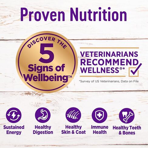 Wellness Complete Health Adult Dry Dog Food, Wholesome Grain Kibble, Natural, Chicken and Oatmeal Recipe, 30 lb Bag in Kuwait