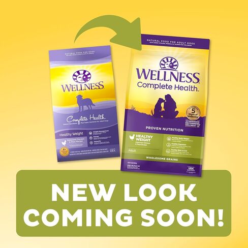 Wellness Complete Health Adult Dry Dog Food, Wholesome Grain Kibble, Natural, Chicken and Oatmeal Recipe, 30 lb Bag in Kuwait