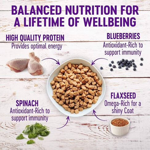 Wellness Complete Health Adult Dry Dog Food, Wholesome Grain Kibble, Natural, Chicken and Oatmeal Recipe, 30 lb Bag in Kuwait