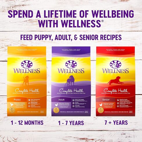 Wellness Complete Health Adult Dry Dog Food, Wholesome Grain Kibble, Natural, Chicken and Oatmeal Recipe, 30 lb Bag in Kuwait