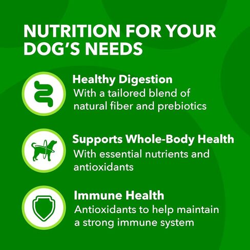 IAMS Minichunks Adult Dry Dog Food Lamb & Rice Recipe Dog Kibble, 30 lb. Bag in Saudi Arabia
