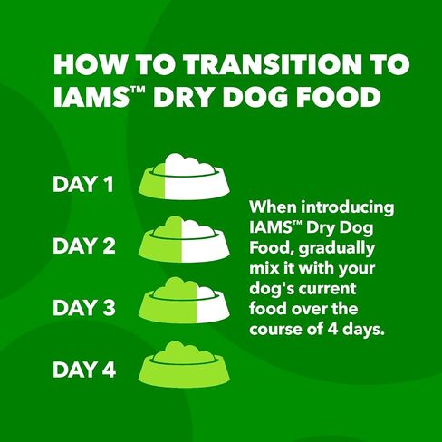 IAMS Minichunks Adult Dry Dog Food Lamb & Rice Recipe Dog Kibble, 30 lb. Bag in Saudi Arabia