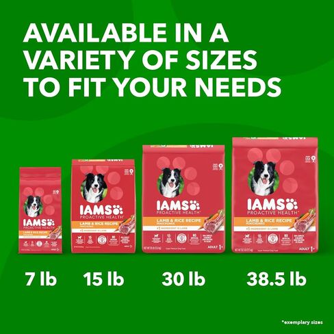 IAMS MINICHUNKS الكبار الكلب الكلب الغذاء لحم الضأن والأرز وصفة الكلب kibble ، 30 رطل. in Kuwait