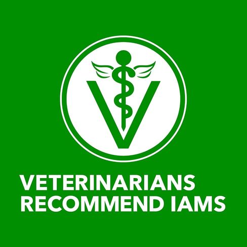 IAMS MINICHUNKS الكبار الكلب الكلب الغذاء لحم الضأن والأرز وصفة الكلب kibble ، 30 رطل. in Kuwait