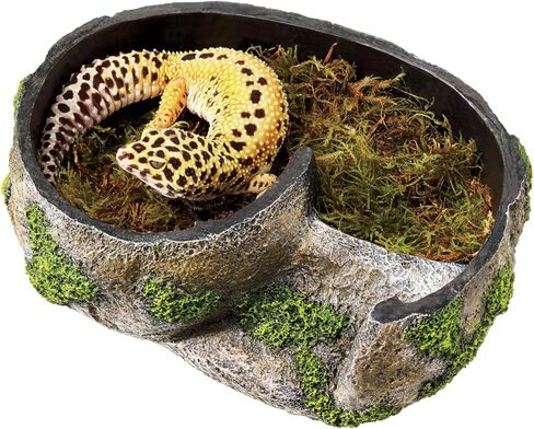 Zilla Pet Terrarium Rock Lair ، متوسط in Kuwait