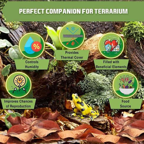 SunGrow Leaf Litter for Snakes, 10 Pcs Medium Indian Almond Catappa Leaves Substrate Maintain Humidity in Corn Snake and Ball Python Terrarium, 4-7 Inches, Reptile Tank Decor Accessories in Kuwait